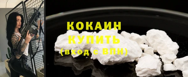прущие грибы Заволжск