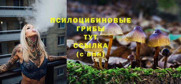 кокаин Заводоуковск