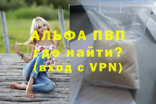 прущие грибы Заволжск