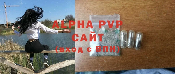 прущие грибы Заволжск