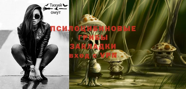 прущие грибы Заволжск