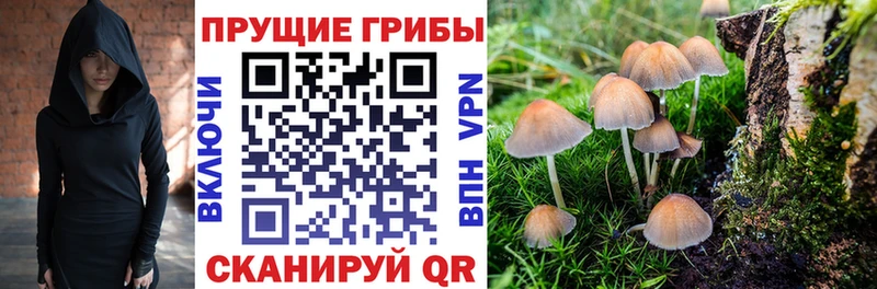 Купить закладки  Кыштым  Галлюциногенные грибы Cubensis 